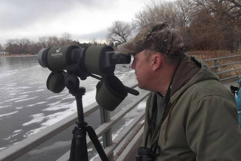 Birds Of A Feather Are Gathering Together With A Free Birdwatching Class May 9