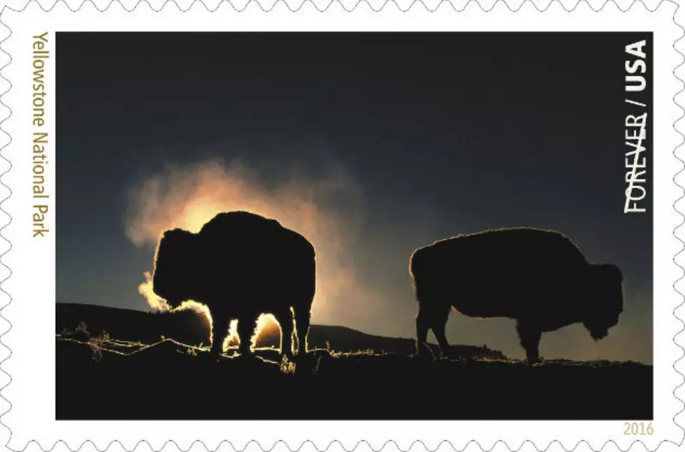 New U.S. Stamp Highlights Yellowstone National Park In Wyoming