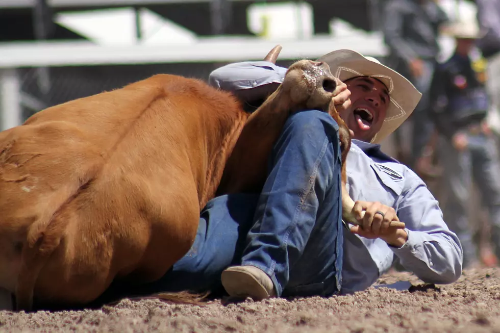 Video Spotlights Rodeo As “Official” Sport Of Wyoming
