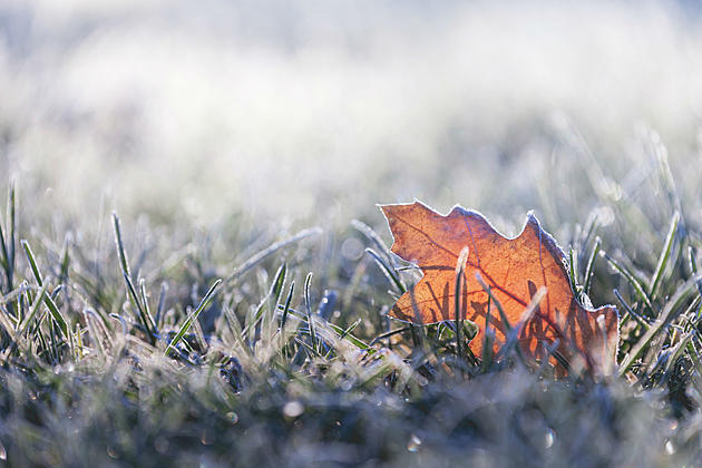 NWS Cheyenne: Some Areas May See Frost by Sunday Morning