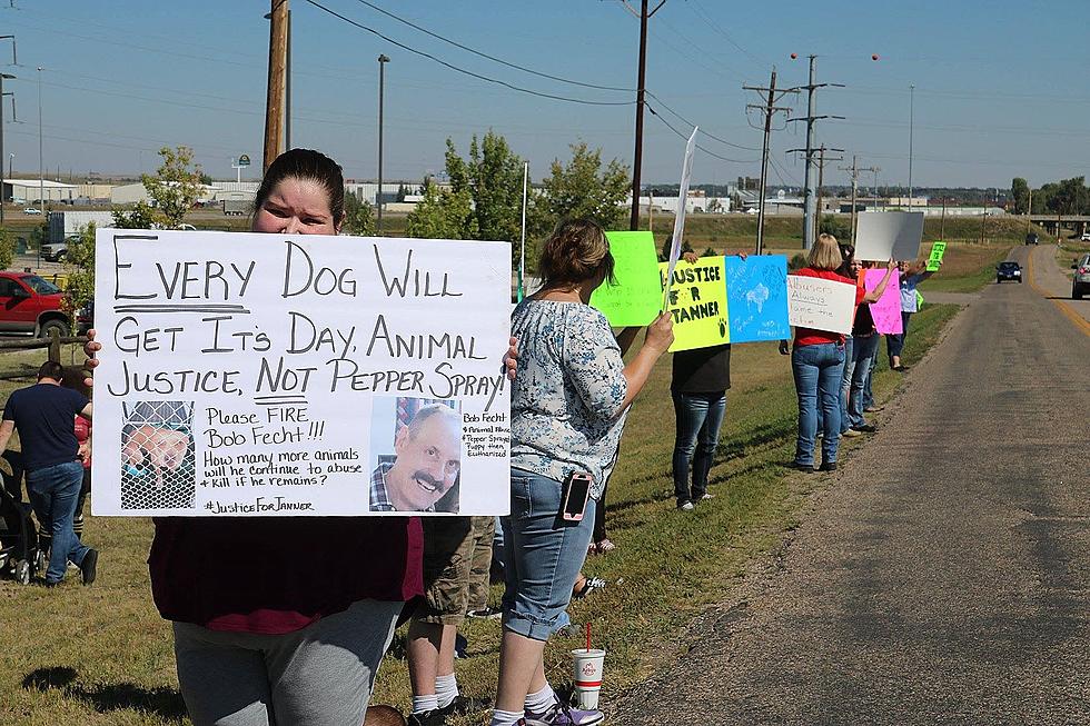 BREAKING: Cheyenne Animal Shelter Board President Resigns; Fecht’s Future Unknown