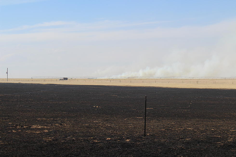 Crews Work to Put Out Large Grass Fire North of Cheyenne [VIDEO]