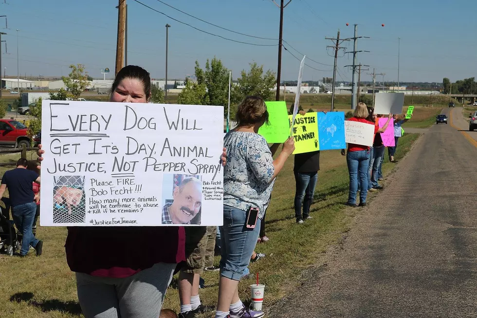 DA Won't File Charges Against Cheyenne Animal Shelter Employees