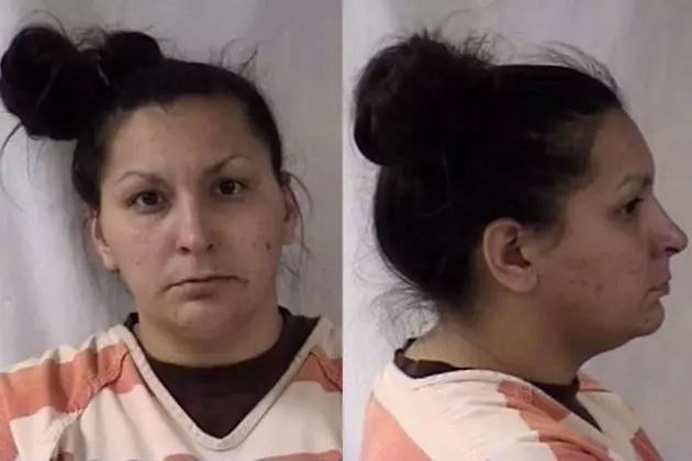 Cheyenne Woman Charged After Police Find Fridge Full of Drugs