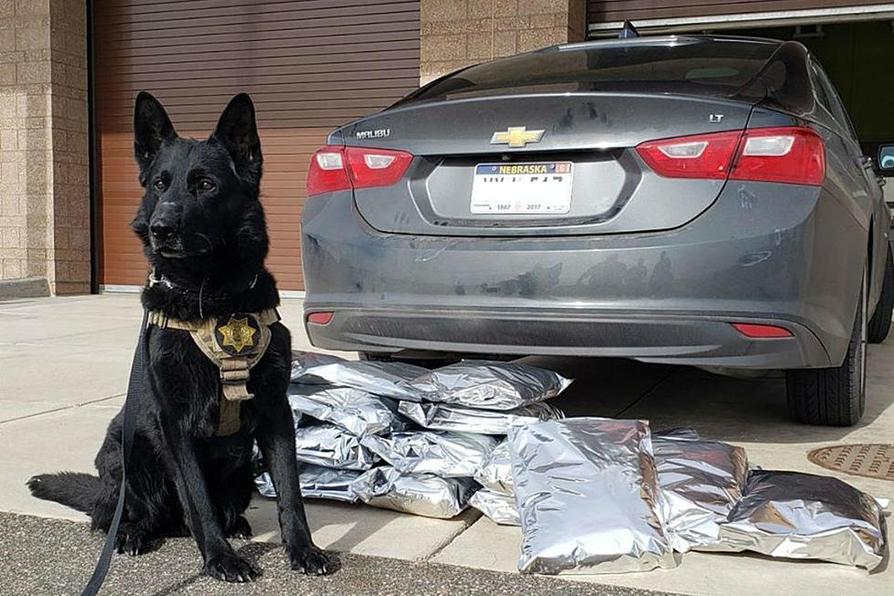 Laramie County K9 Sniffs Out 24 Pounds of Pot During Traffic Stop