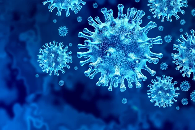 Wyoming Reports 30th Coronavirus-Related Death