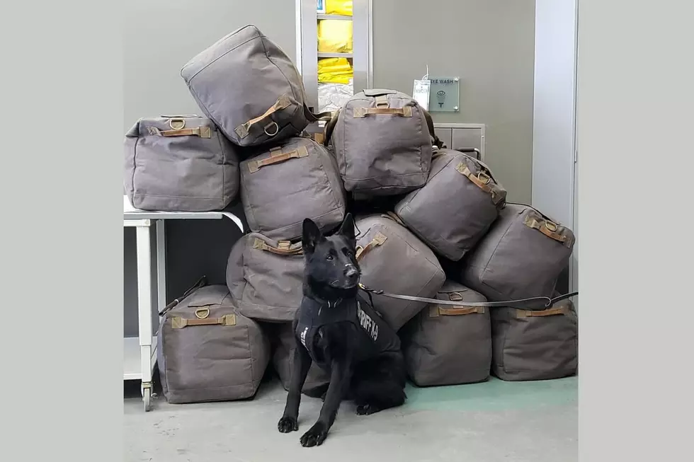 LCSO K-9 Sniffs Out Nearly 300 Pounds of Weed During Traffic Stop