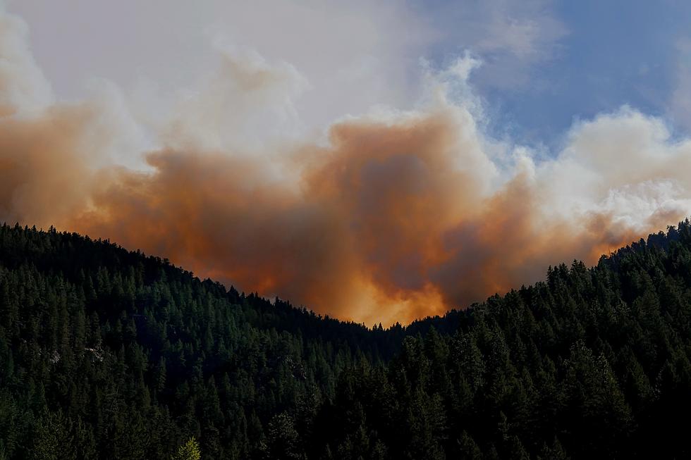 US Seeks To Bolster Firefighter Ranks as Wildfires Increase