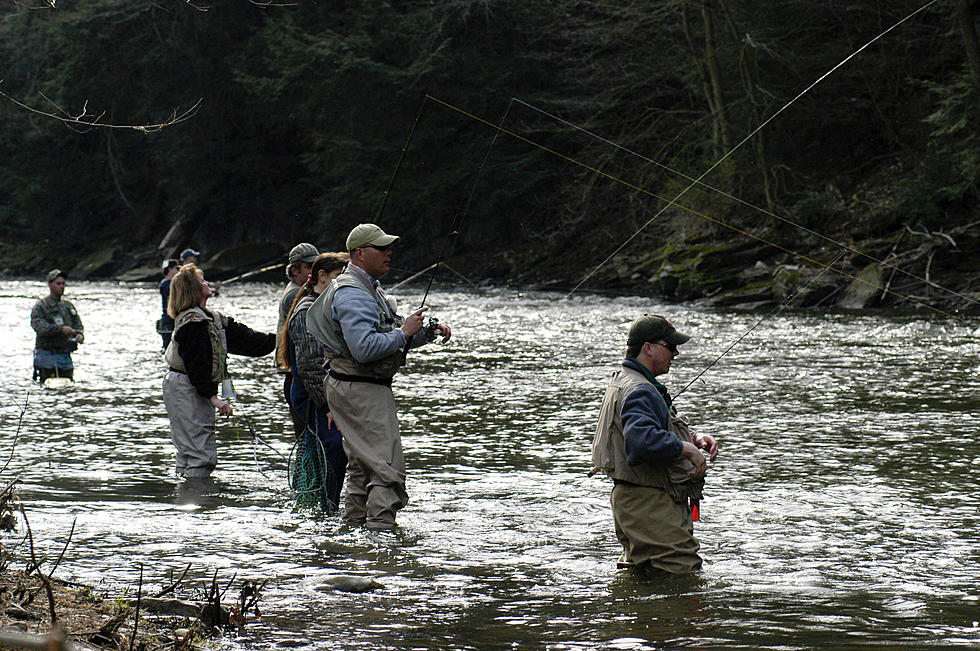 Prized Trout Streams Shrink as Heat, Drought Grip US West