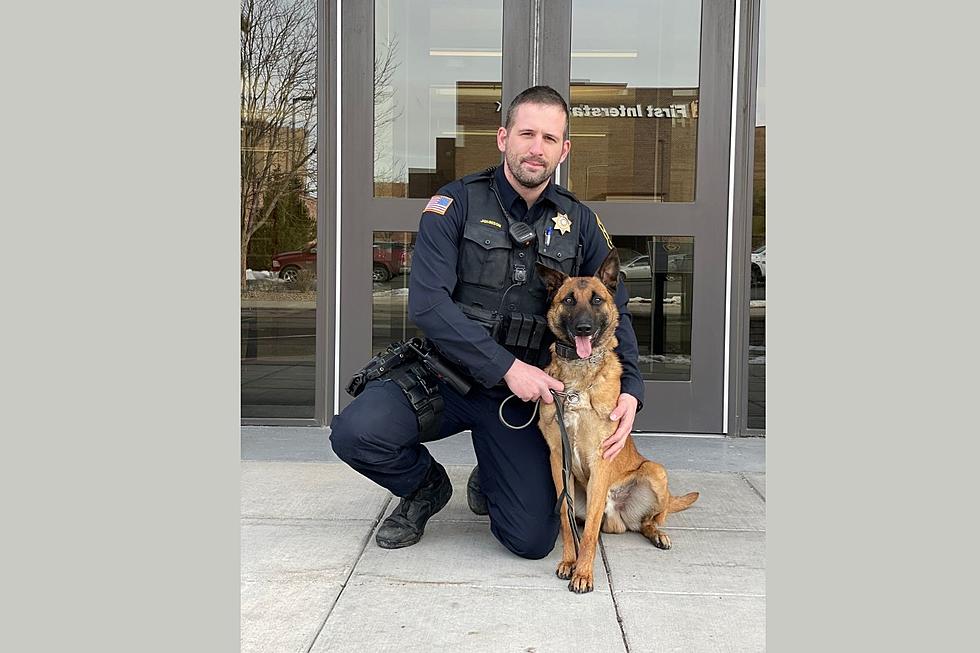 New K9 Officer Joins Cheyenne Police Department
