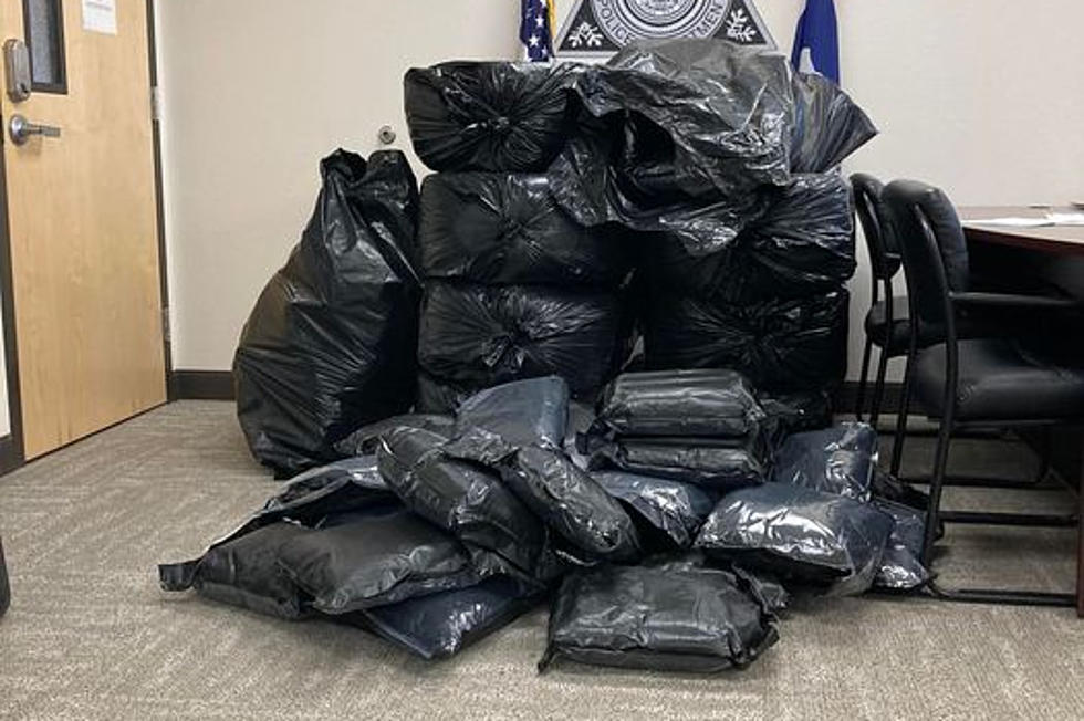 344 Pounds of Marijuana Seized in Record Drug Bust in Southeast Wyoming