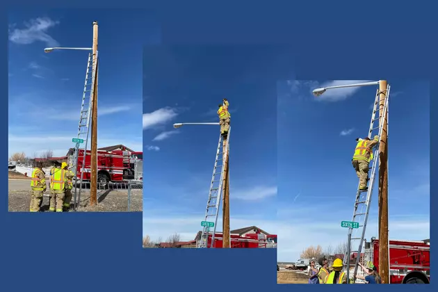 Cat Rescued From Top of Light Pole in Wyoming