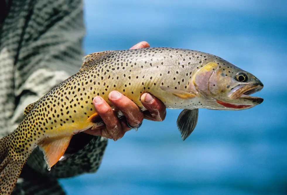 Fish for Free in Wyoming on June 4