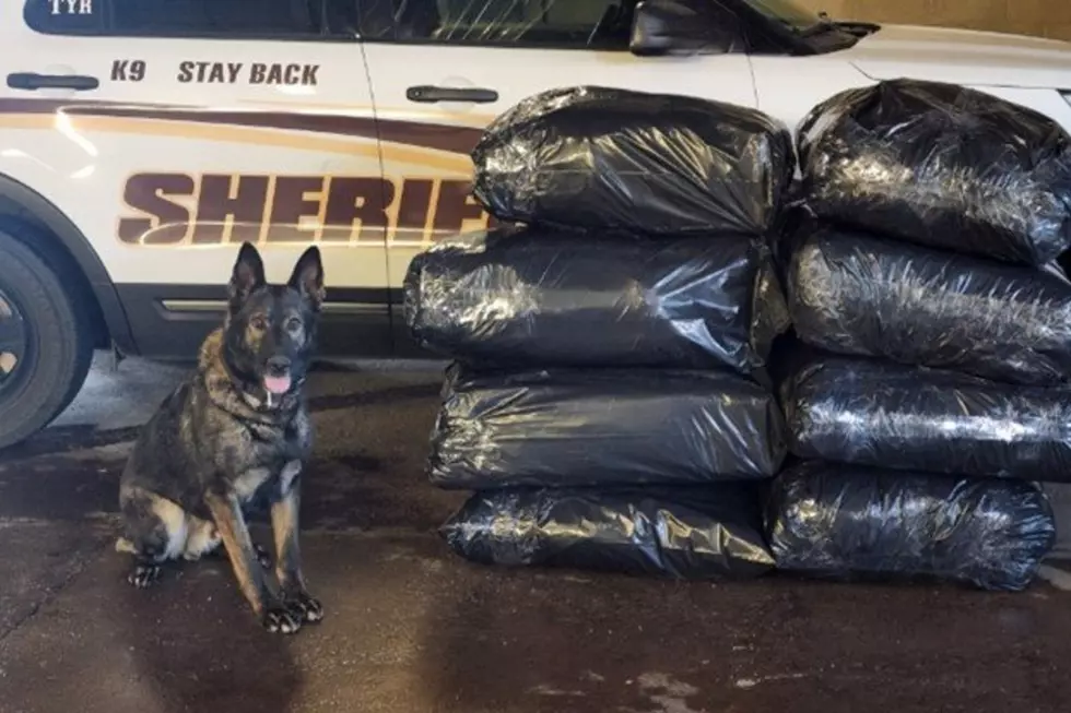 LCSO K-9 Sniffs Out 250+ Pounds of Weed During I-80 Traffic Stop