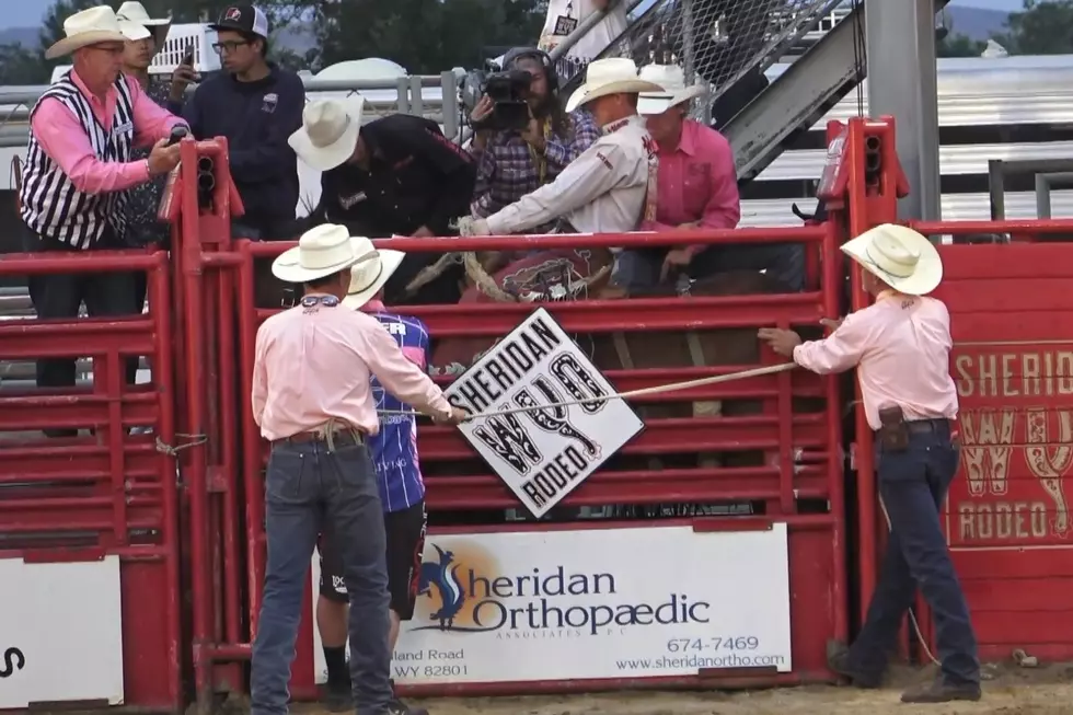 Wyoming Native Chet Johnson Has Productive Week on Rodeo Circuit