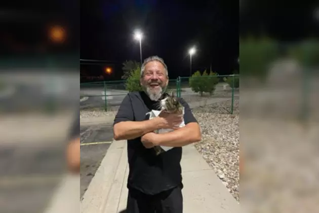 Cheyenne Man Reunited With Missing, Blind Cat Thanks to Microchip