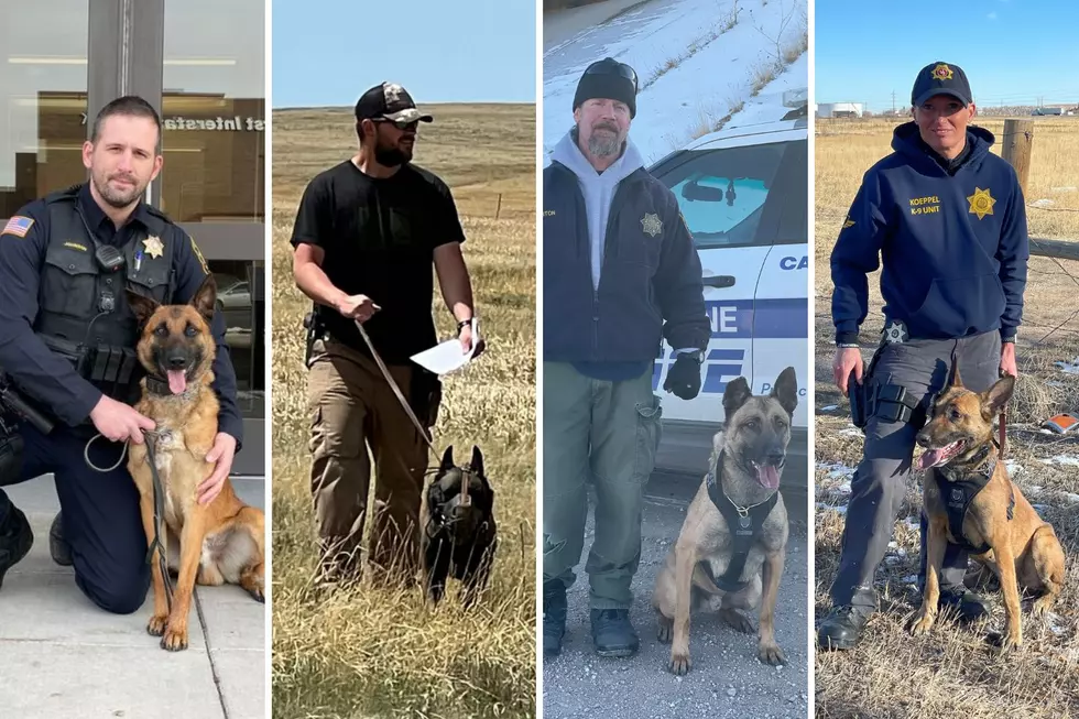 Meet the Four-Legged Heroes of the Cheyenne Police Department