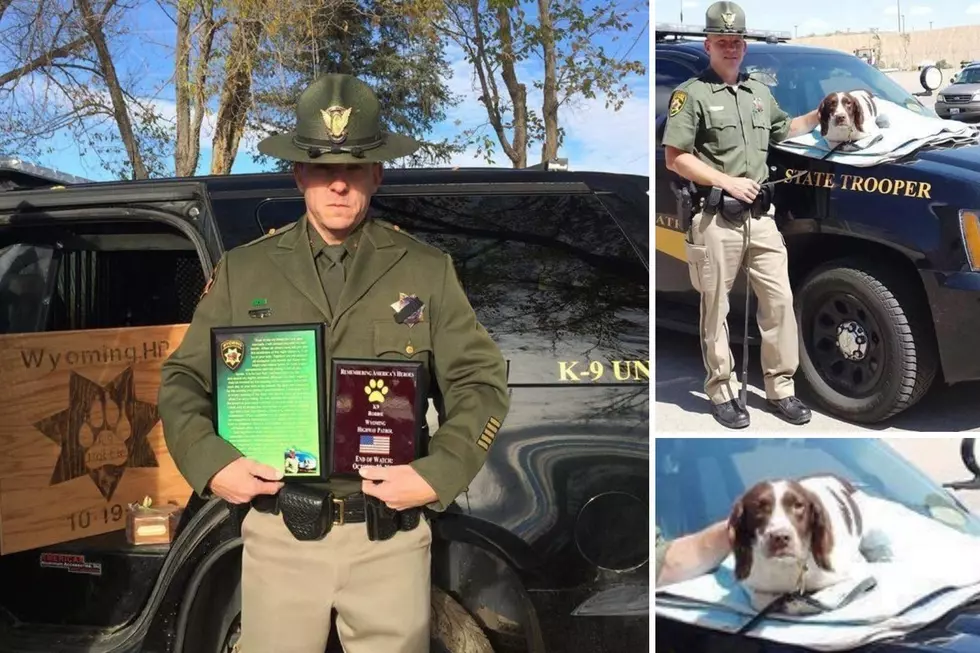 Fallen Wyoming Highway Patrol K-9 Remembered on Anniversary of His Death