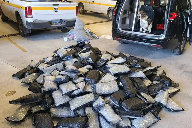 Troopers Make 221-Pound Marijuana Bust in Southeast Wyoming
