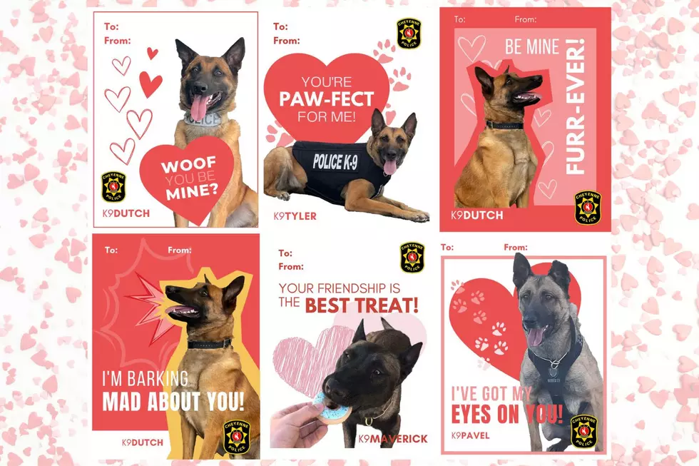 Hot Dog! Cheyenne Police Release Free Valentine's Day Cards