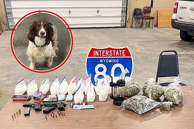 Two Busted for Drugs After Running Out of Gas on I-80 in Wyoming
