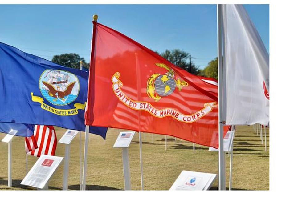 Cheyenne Marine Corps Vets Group Holding Gun Show