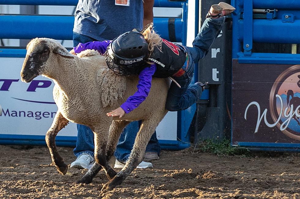 Central Wyoming Rodeo Mutton Bustin’-Wednesday