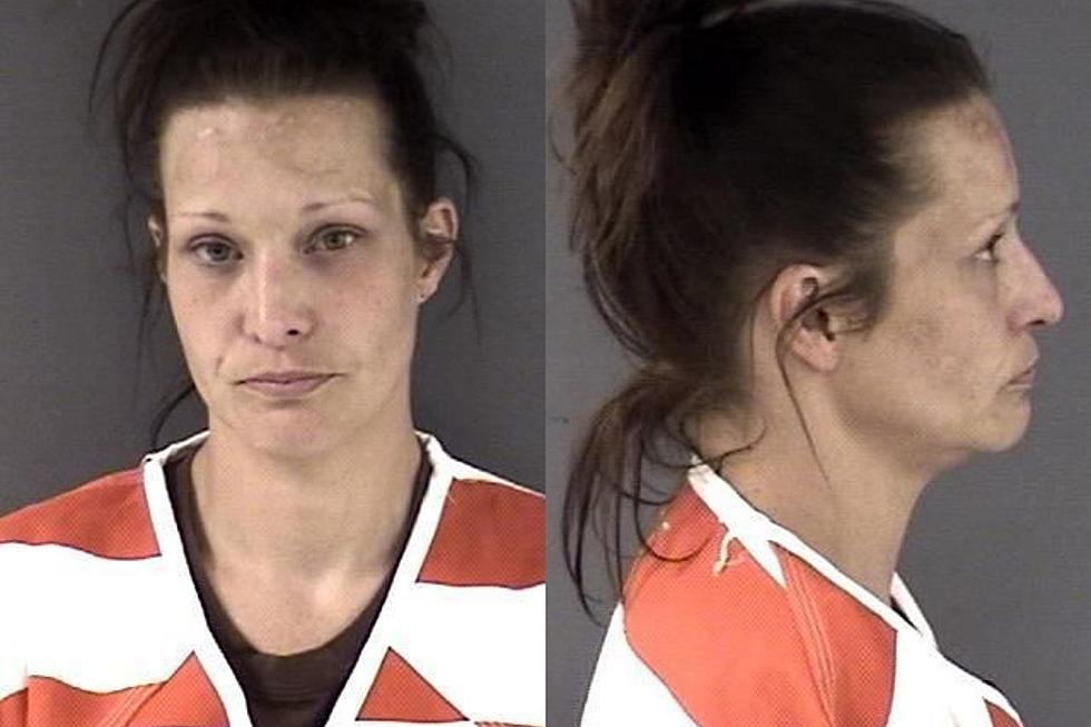 Carpenter Woman Gets 58 Months for Trafficking Meth