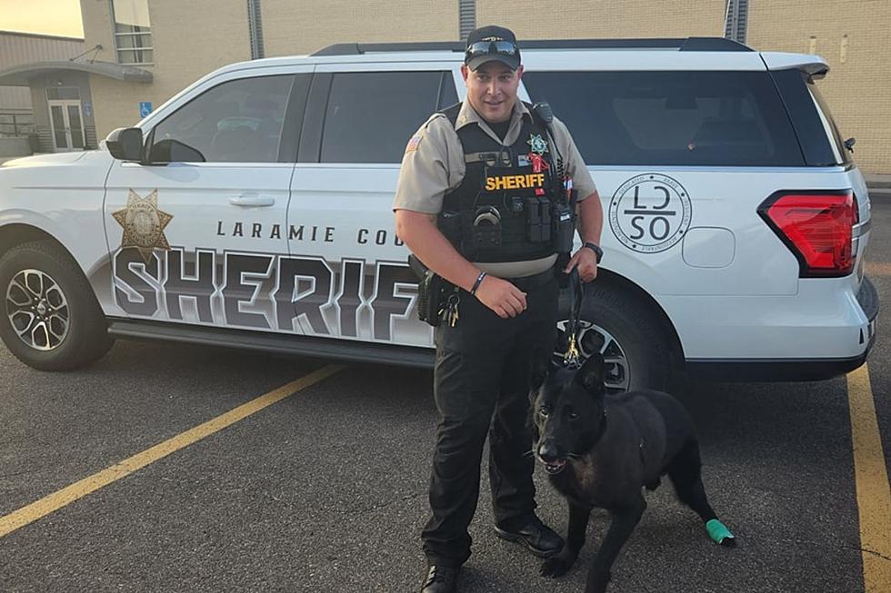 LCSO K-9 to Continue Working Despite Metastatic Cancer Diagnosis