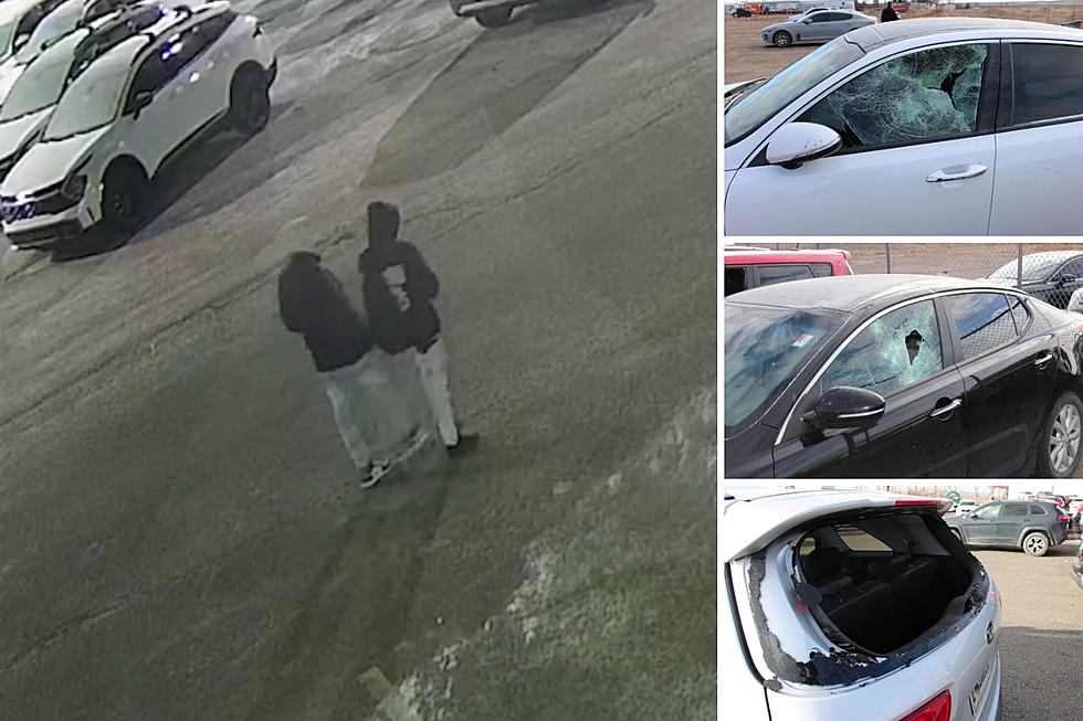 Vandals Hit Cheyenne Car Dealership, Damage 21 Vehicles