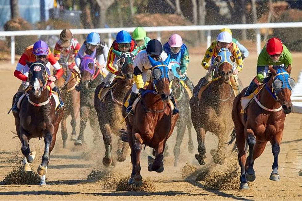 Consideration Of Frontier Park Horse Racing Proposal Postponed