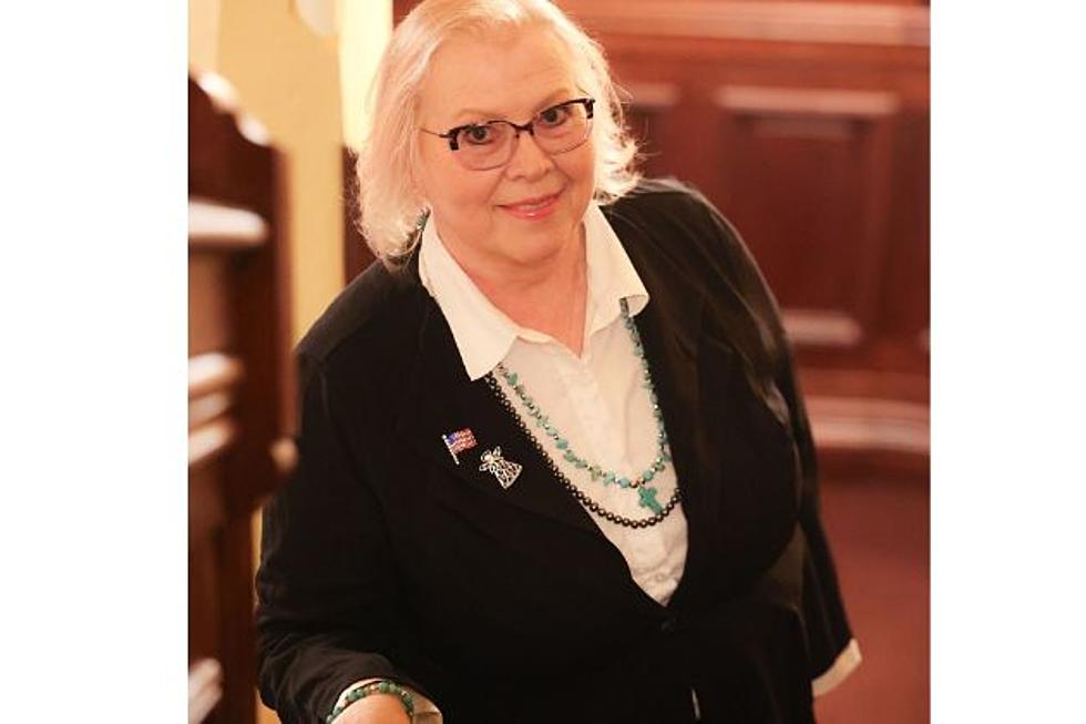 Ann Lucas Announces Run For Wyoming Legislature