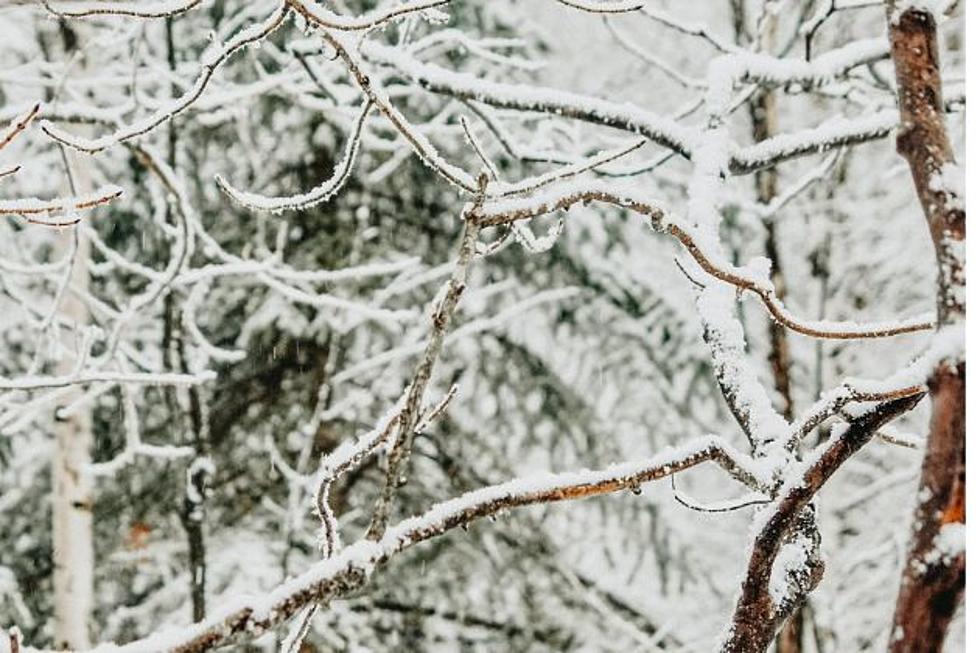 Snow Alert: Prepare For Winter Weather In SE Wyoming And Nebraska