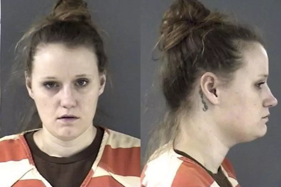 Cheyenne Woman's Trip to Courthouse Ends With Felony Theft Charge