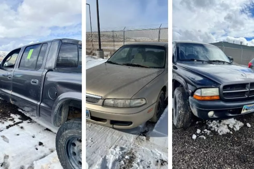 Wyoming Sheriff’s Office To Auction Cars, Bids Start At $100