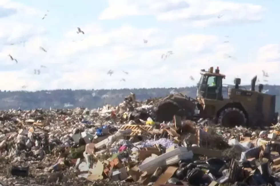 Massive Amounts of Food Thrown Out at Billings Landfill?