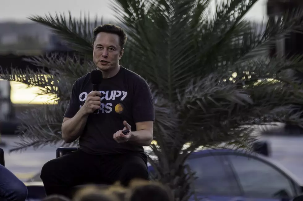 Elon Musk Has Spoken, After Montana Senator Suspended on Twitter