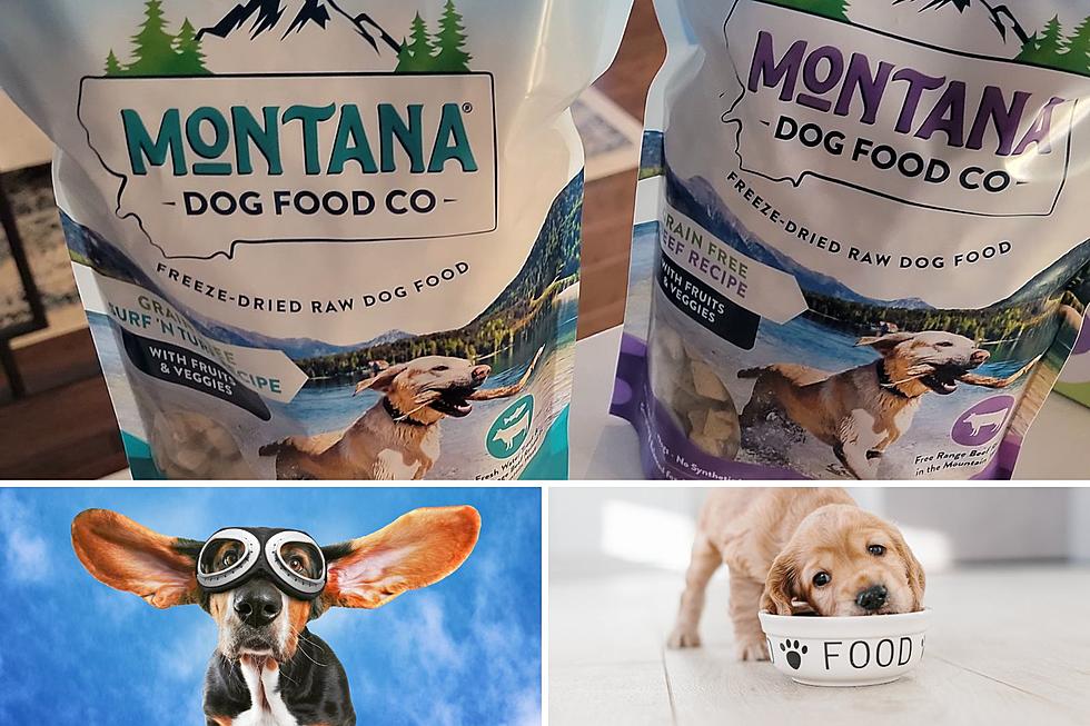 Woof! Montana Now Has Our Own Dog Food for Your Pup