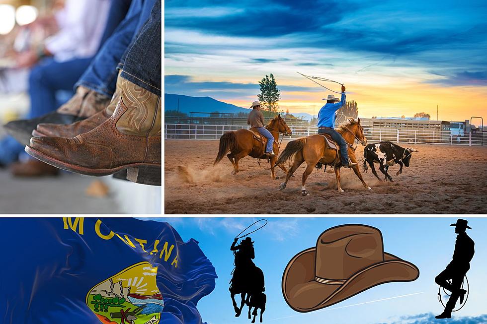 Making Rodeo Montana’s Official State Sport, Effort Underway