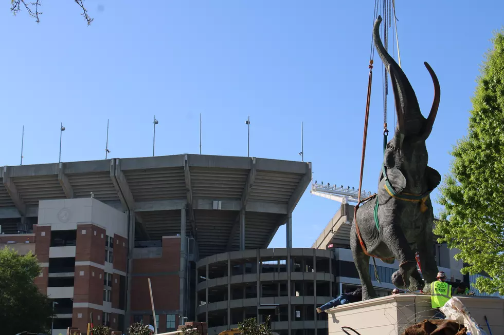Tuska, a 7-Ton Elephant Statue, Finds New Home at Bryant-Denny