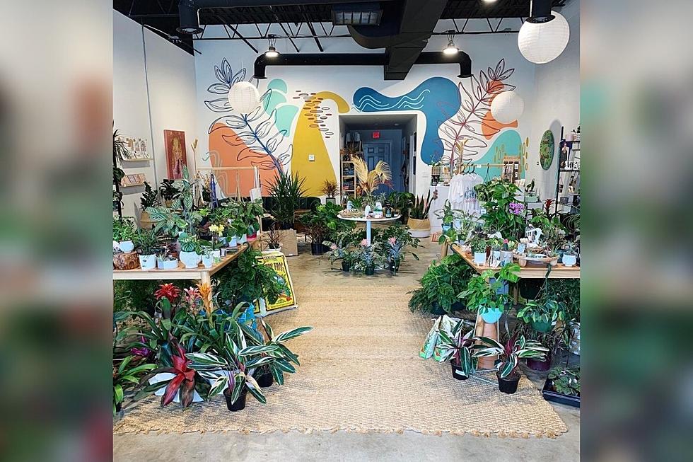 Birmingham’s House Plant Collective Opening Store in Tuscaloosa, Alabama