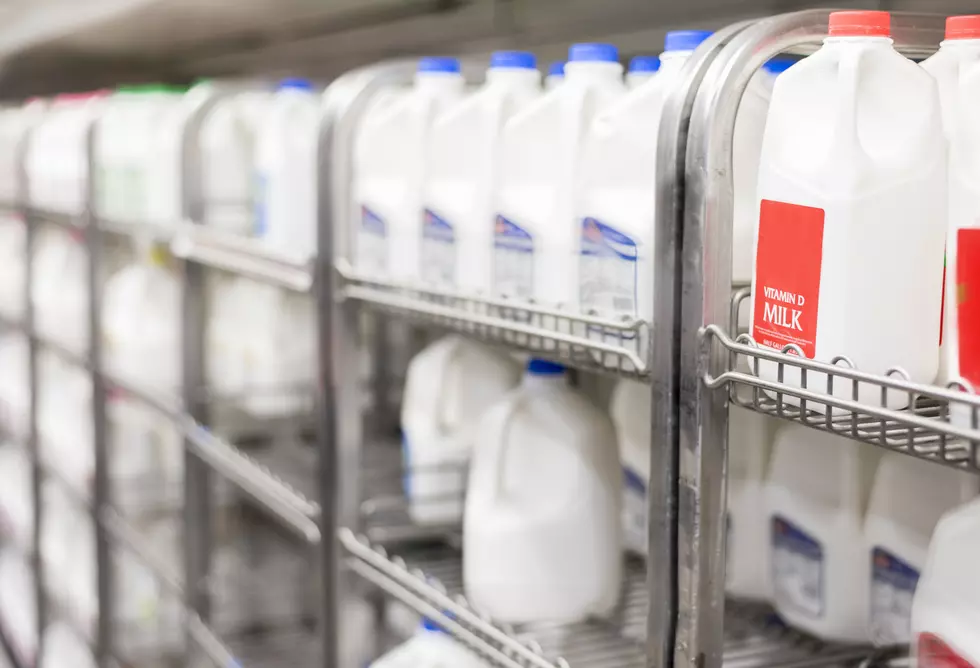 Tuscaloosa City Schools Braces for Milk Shortage Ahead of Plant Closures