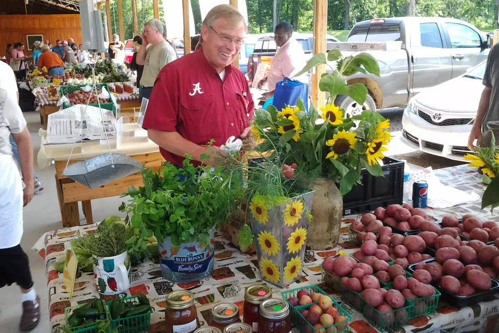 Northport Farmers Market Won’t Open Wednesday As Rainless Spell Continues