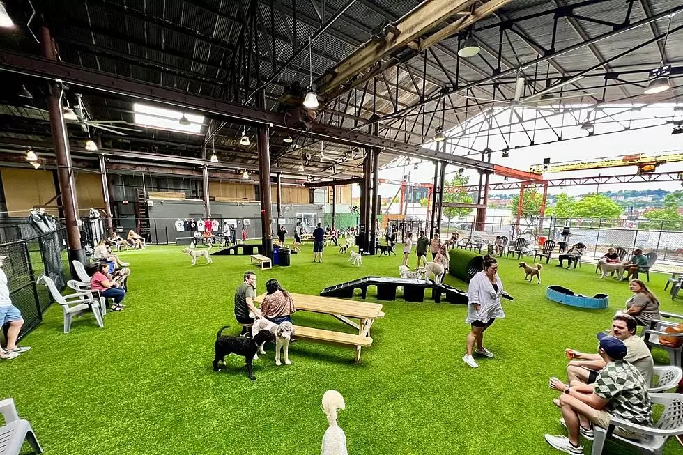 Dog Park Coming to Tuscaloosa Gets License to Sell Beers