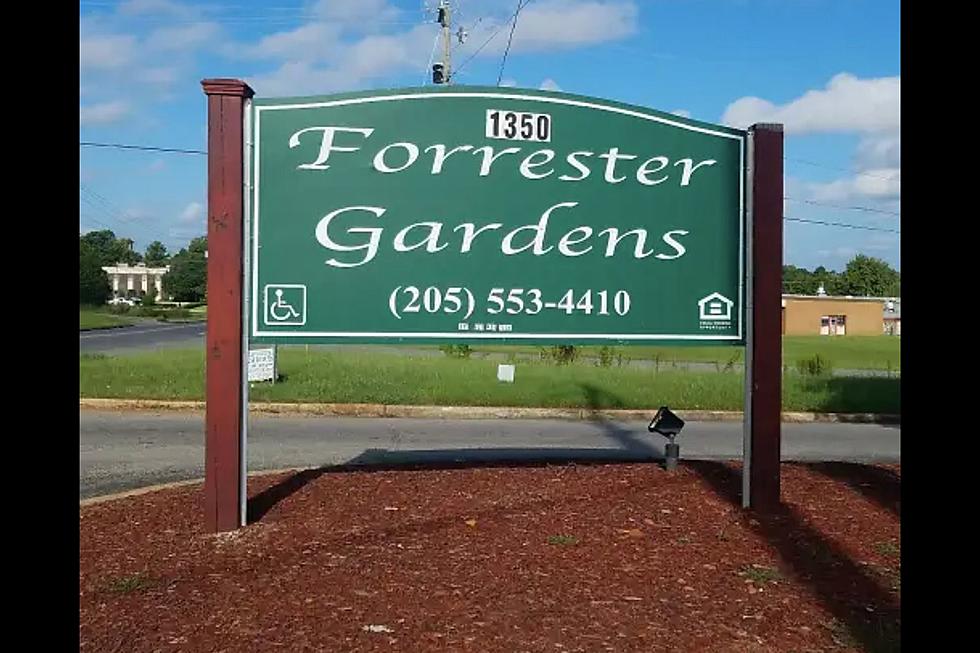Forrester Gardens Residents Sue After Mold, Raw Sewage was Found in Units