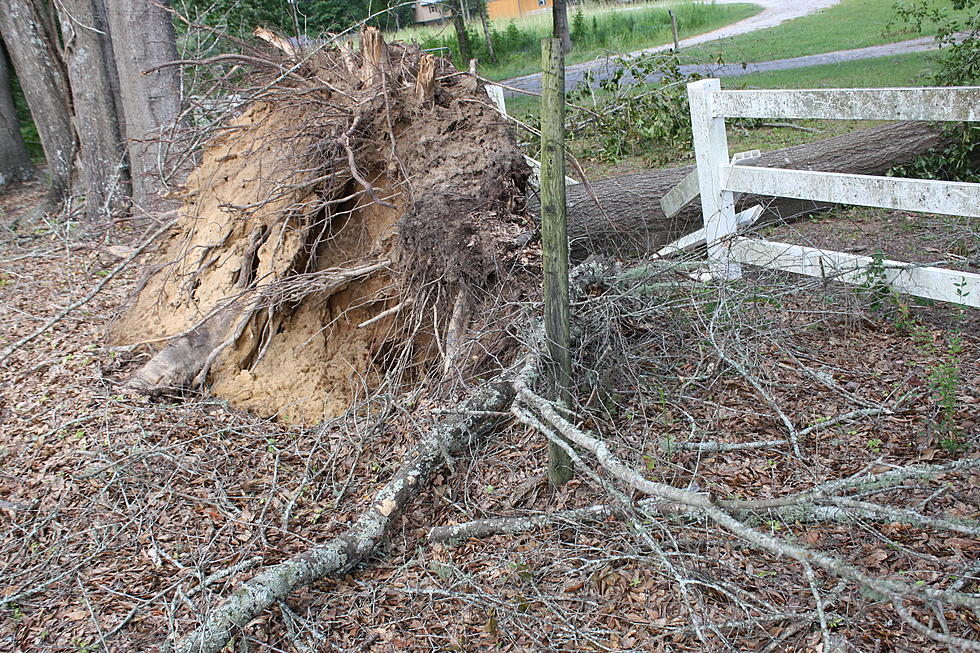 LOOK: Weekend Storm Damage South of Tuscaloosa