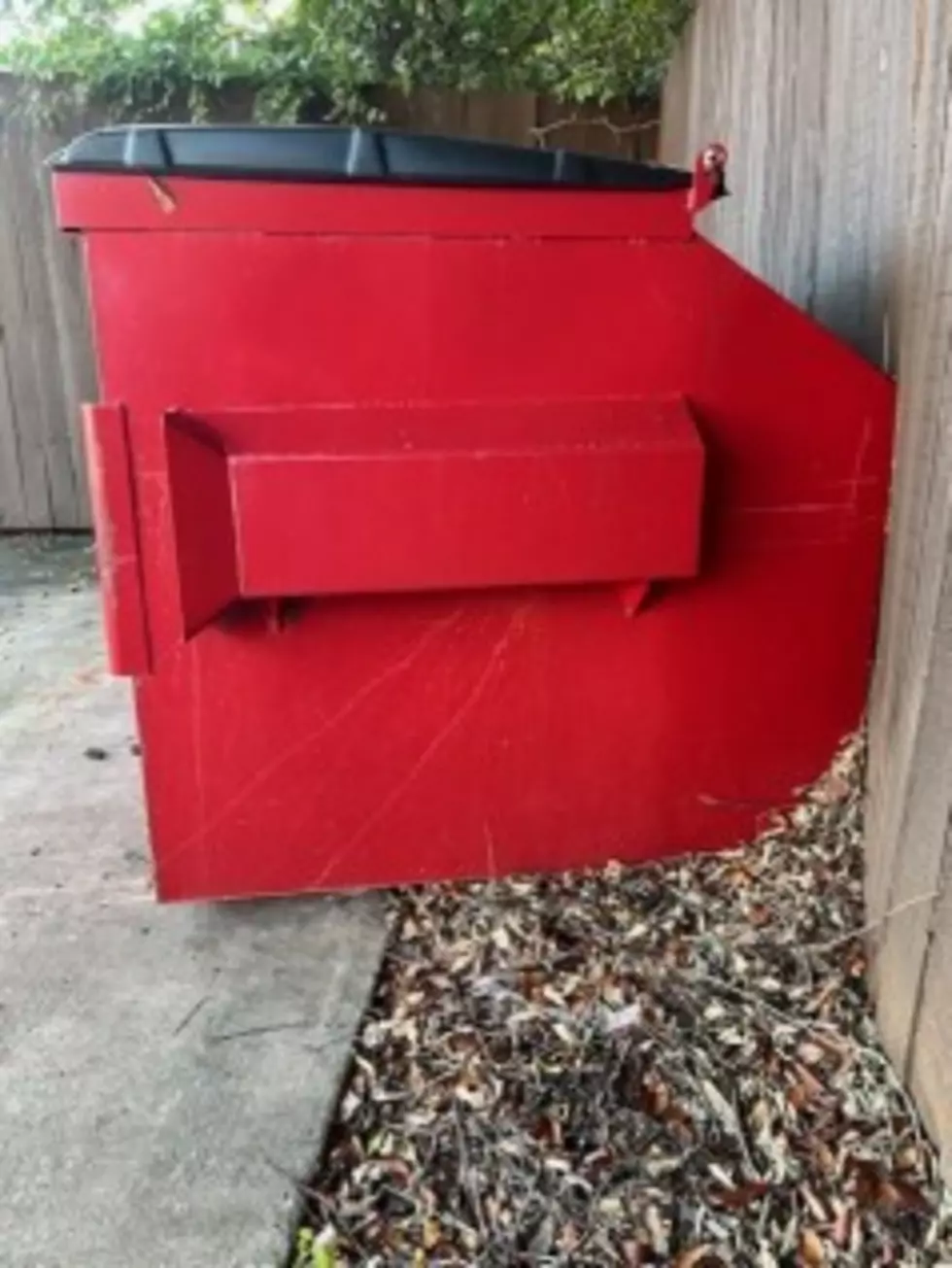 Tuscaloosa to Provide Dumpsters for UA Students