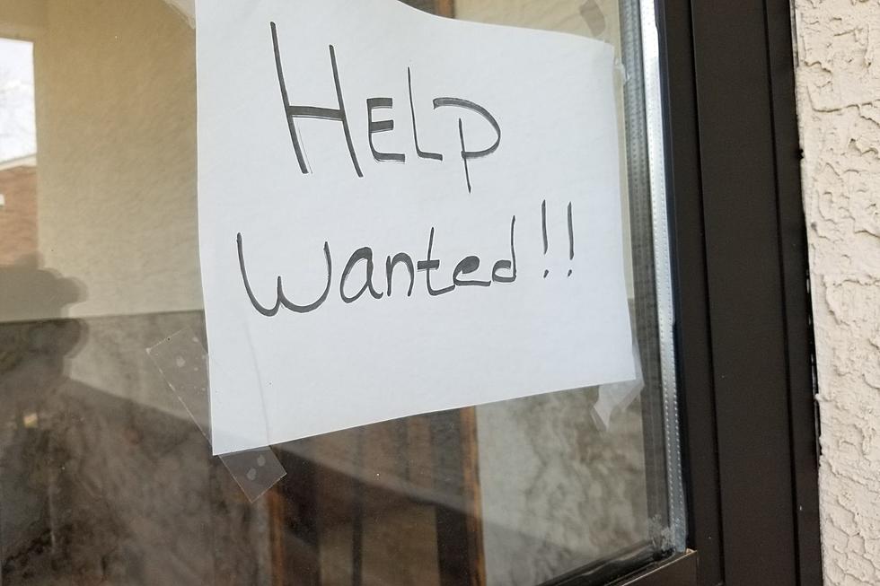 Looking for a Job on the Seacoast? NH Businesses Need Your Help
