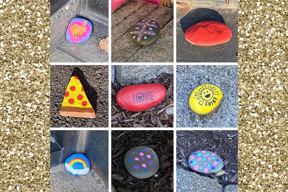Father and Daughter Team Spread Joy in Dover, NH With Painted Stones