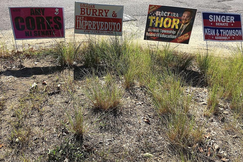 Don&#8217;t Agree with a Political Sign? Leave It Alone